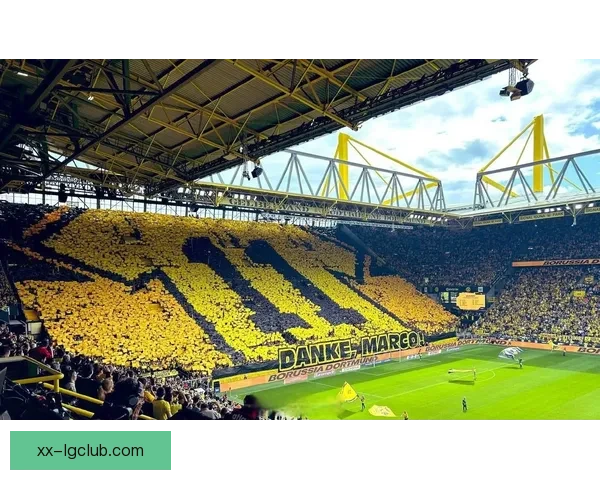 2026世界杯多伦多赛区宣布增设三万临时看台球迷观赛规模再创新高